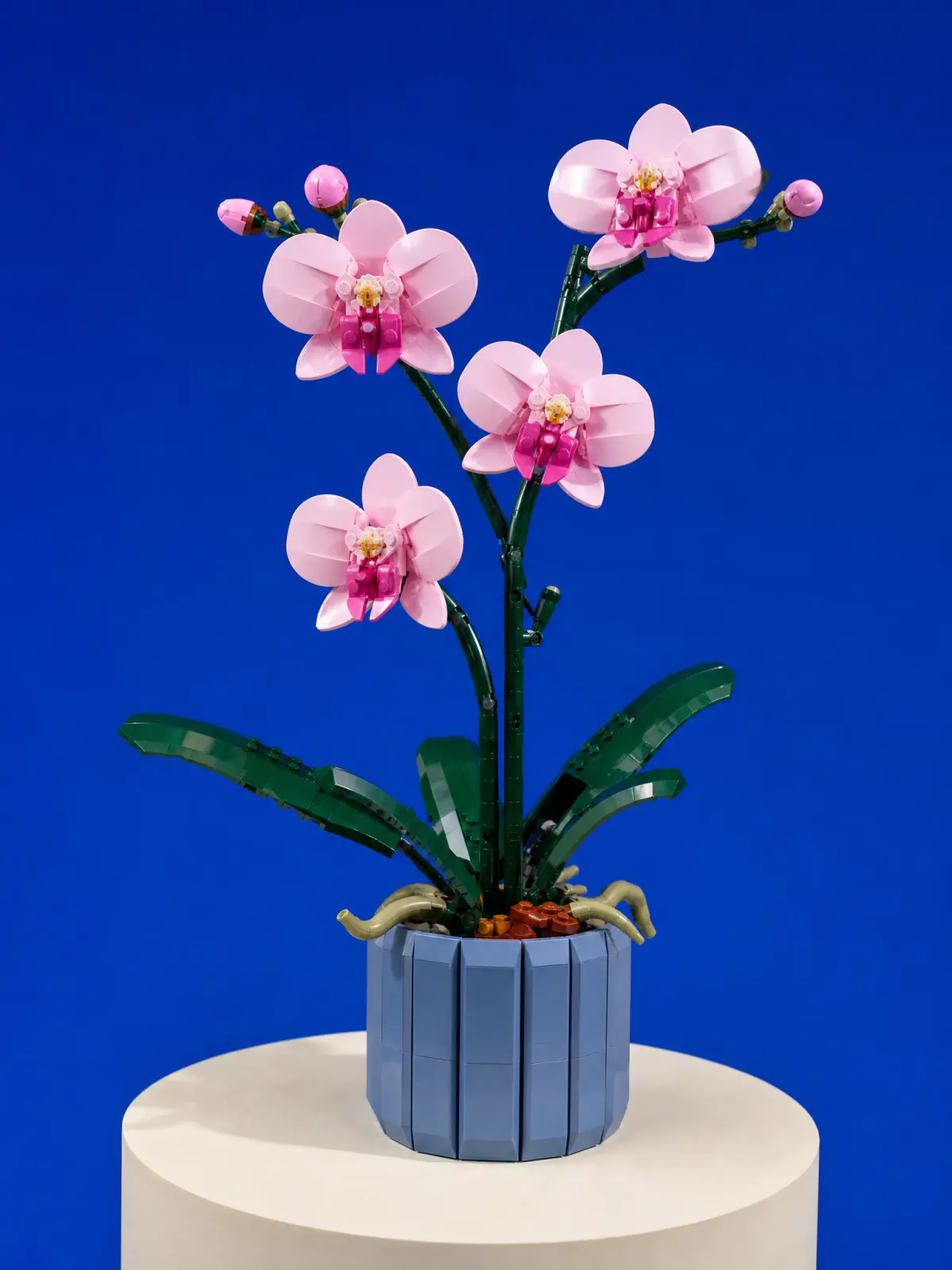 Independent ecommerce concept featuring a LEGO Botanicals orchid set in a cobalt studio.